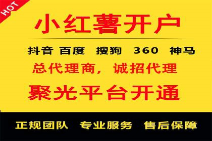 网络推广与竞价优化成功案例